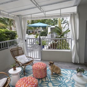 a dog sitting on a deck
